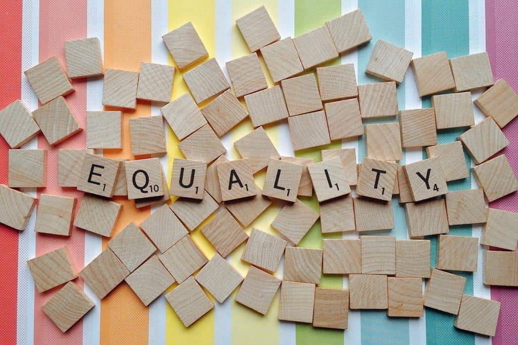 Minority Shareholder Rights