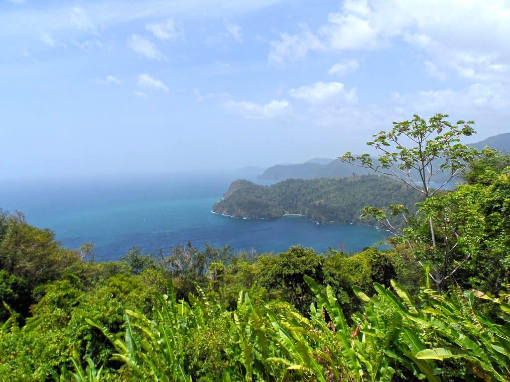 Sunny landscape