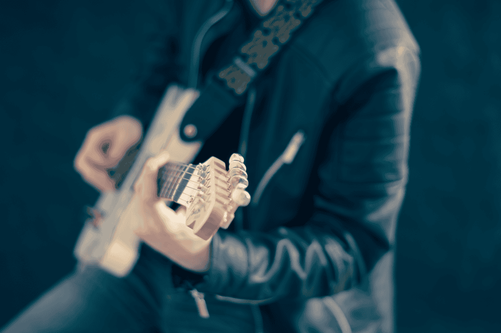 Professional guitarist