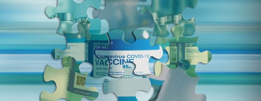 Vaccine COVID-19 Puzzle