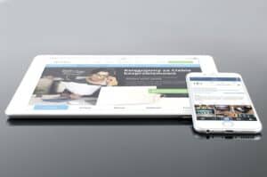 software engineer company IT consulting app applications E2 visa USA