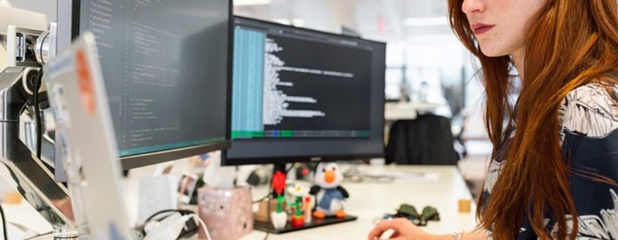 E2 employee visa