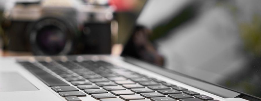 Wrok authorization EAD automatic extension ends