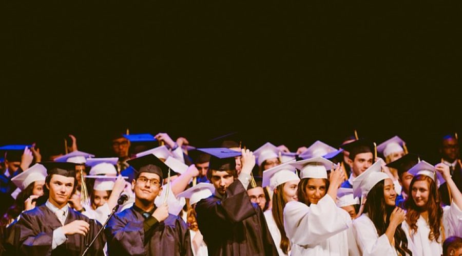Can F-1 Students on OPT Be Self-Employed?