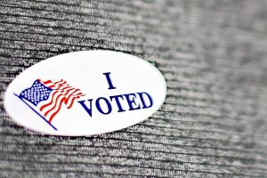 Federal Election Integrity & Citizenship Verification